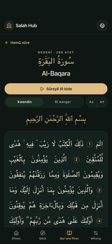 Mushef