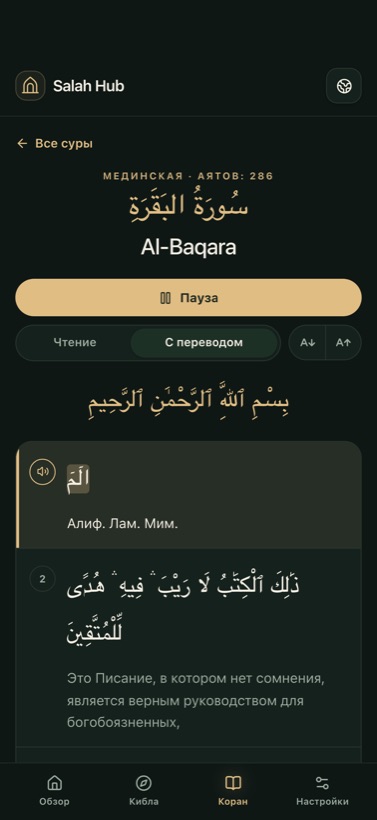 Чтение с подсветкой слов