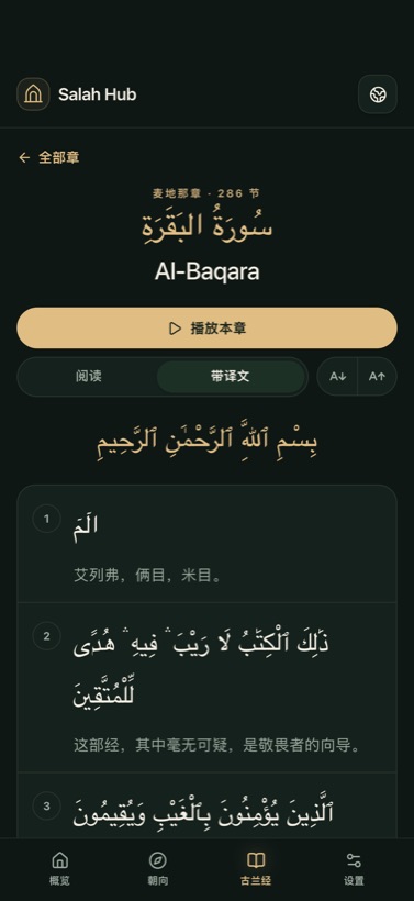 带译文